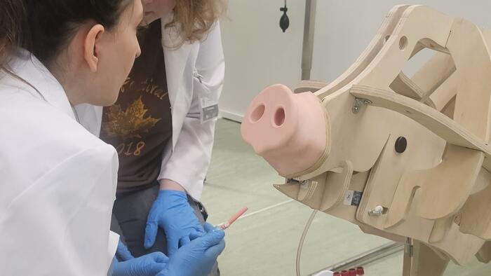 Unha estudante nunha sesión práctica en Veterinaria Unha estudante nunha sesión práctica en Veterinaria