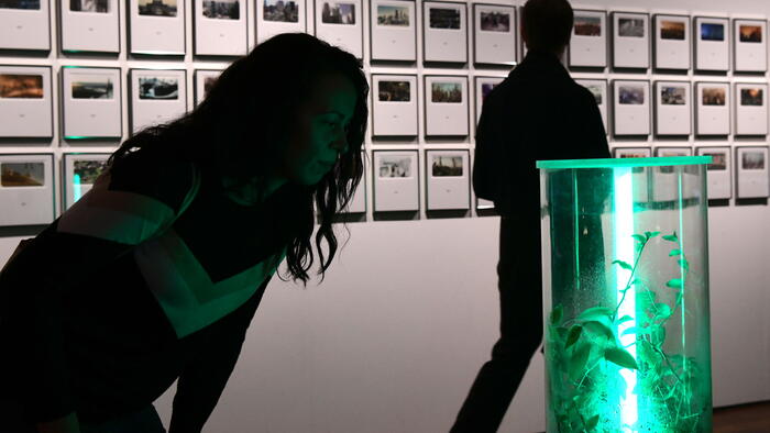 A mostra pode visitarse ata o 28 de febreiro. Foto: Santi Alvite A mostra pode visitarse ata o 28 de febreiro. Foto: Santi Alvite