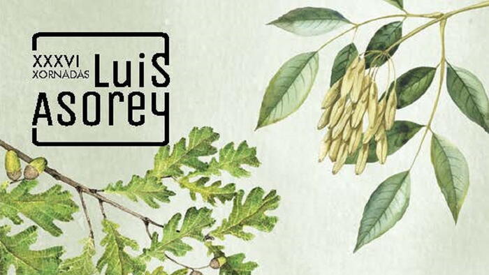 XXXVI Xornadas Luis Asorey
