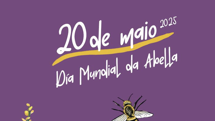 Día Mundial da Abella 2025