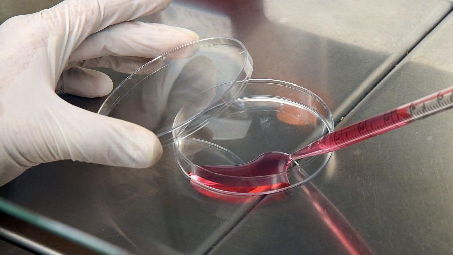 Química en galego, o acompañamento perfecto para este Nadal Química en galego, o acompañamento perfecto para este Nadal