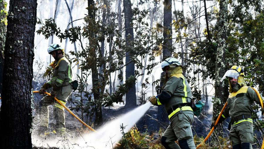 A principal conclusión do traballo publicado en Science é que o réxime de incendios debe ser tido en conta á hora de planificar a conservación da biodiversidade. FOTO: Santi Alvite A principal conclusión do traballo publicado en Science é que o réxime de incendios debe ser tido en conta á hora de planificar a conservación da biodiversidade. FOTO: Santi Alvite