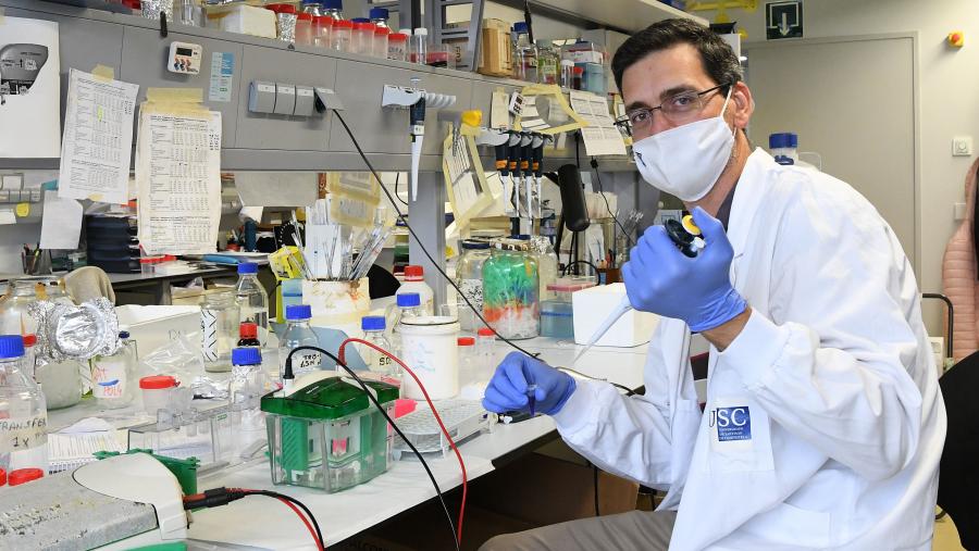 Rubén Nogueiras no seu laboratorio da USC. FOTO: Santi Alvite Rubén Nogueiras no seu laboratorio da USC. FOTO: Santi Alvite