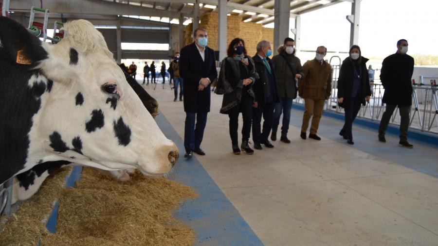 Autoridades camiñan por un dos pasillos da Granxa do Campus Terra Autoridades políticas e académicas camiñan por un dos pasillos da Granxa do Campus Terra