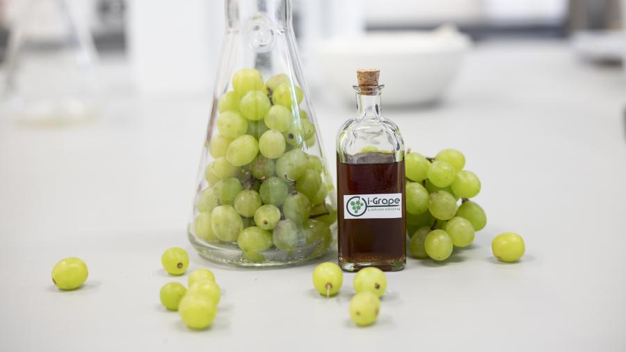 O proxecto GREENVITISV, que se desenvolverá nas instalacións do Edificio Emprendia da USC, foi presentado por i-Grape Laboratory á convocatoria H2020 Instrumento Peme da Unión Europea en outubro de 2020 O proxecto GREENVITISV, que se desenvolverá nas instalacións do Edificio Emprendia da USC, foi presentado por i-Grape Laboratory á convocatoria H2020 Instrumento Peme da Unión Europea en outubro de 2020