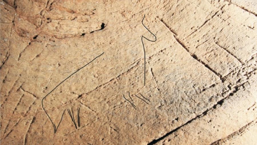 As representacións de animais na arte rupestre distínguense polas súas características xeométricas As representacións de animais na arte rupestre distínguense polas súas características xeométricas