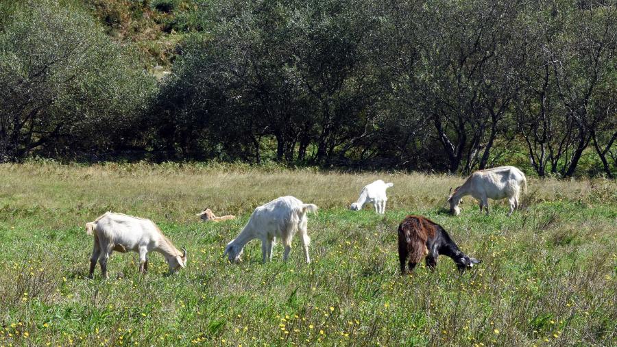 AgroMar constitúe así un marco acaído para a reflexión no eido agroalimentario. FOTO: Santi Alvite AgroMar constitúe así un marco acaído para a reflexión no eido agroalimentario. FOTO: Santi Alvite