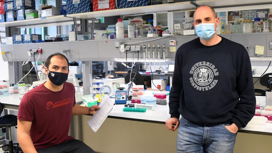 Os investigadores Jose Tubío (dereita) e Martín Santamarina (esquerda) no seu laboratorio do CiMUS. FOTO: Santi Alvite Os investigadores Jose Tubío e Martín Santamarina no seu laboratorio do CiMUS. FOTO: Santi Alvite