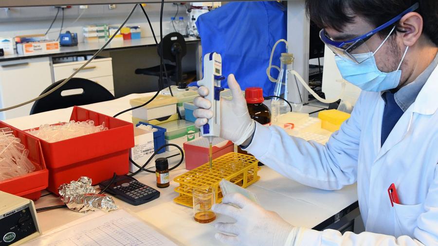 O papel da proteína ou factor de transcrición POU1F1 no desenvolvemento da glándula hipofis e a súa homeostase é ben coñecido. Imaxe de arquivo dun laboratorio do CiMUS. FOTO: Santi Alvite O papel da proteína ou factor de transcrición POU1F1 no desenvolvemento da glándula hipofis e a súa homeostase é ben coñecido. Imaxe de arquivo dun laboratorio do CiMUS. FOTO: Santi Alvite