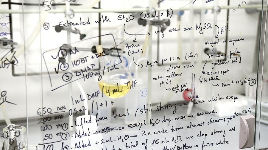 O alumnado adquirirá coñecementos e destrezas na área temática do seu proxecto de investigación. FOTO: Santi Alvite O alumnado adquirirá coñecementos e destrezas na área temática do seu proxecto de investigación. FOTO: Santi Alvite