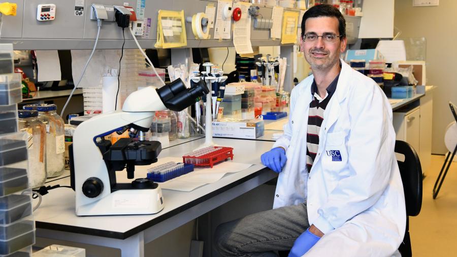 Rubén Nogueiras é investigador do CiMUS. FOTO: Santi Alvite Rubén Nogueiras é investigador do CiMUS. FOTO: Santi Alvite