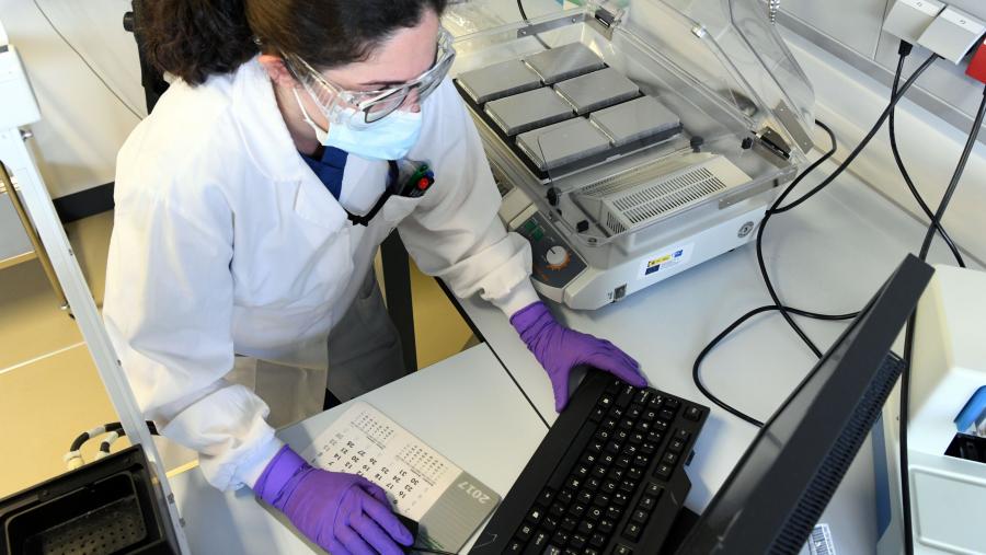 ExoGAG é un método de purificación de vesículas extracelulares. Imaxe de arquivo dun laboratorio da USC. FOTO: Santi Alvite ExoGAG é un método de purificación de vesículas extracelulares. Imaxe de arquivo dun laboratorio da USC. FOTO: Santi Alvite