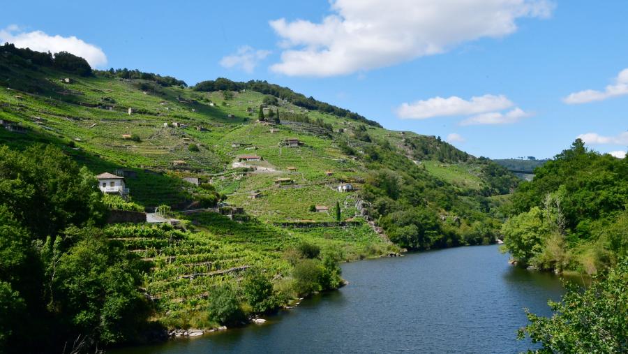 Paraxe Fluvial da Ribeira Sacra Paraxe Fluvial da Ribeira Sacra