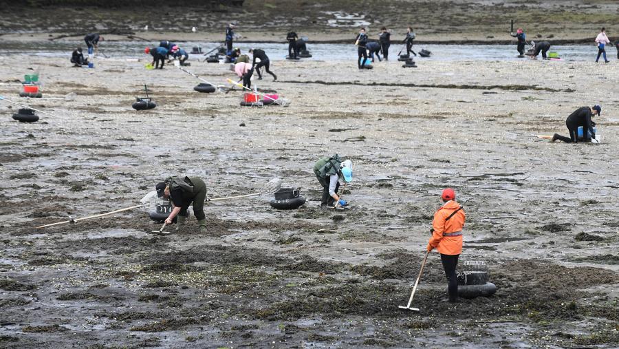 O estudio parte dos casos de estudo do marisqueo a pé. Foto: Santi Alvite Imaxe de marisqueo a pé