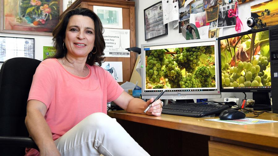 Marta Lores é catedrática de Química Analítica da USC e responsable do proxecto NeoGIANT. Foto: Santi Alvite