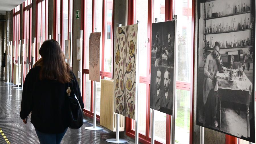 Esta exposición pretende render tributo á vida e obra do premio Nobel español. FOTO: Santi Alvite