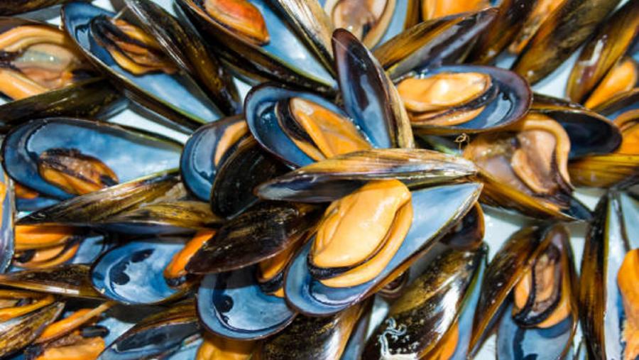 Mexillóns de Galicia. Foto de iStock