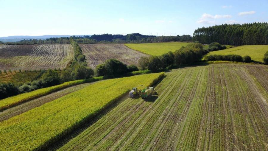 AGRIPEMAF is one of the collaborative projects of Campus Terra AGRIPEMAF is one of the collaborative projects of Campus Terra
