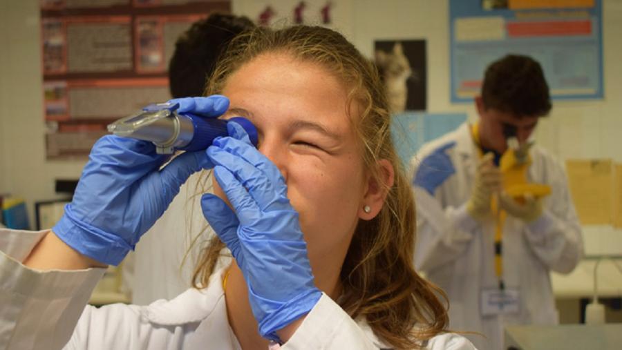 O alumnado poderá elixir entre proxectos de tipo biosanitario, científico experimental, de ciencias sociais e humanidades. FOTO: XuvenCiencia O alumnado poderá elixir entre proxectos de tipo biosanitario, científico experimental, de ciencias sociais e humanidades. FOTO: XuvenCiencia