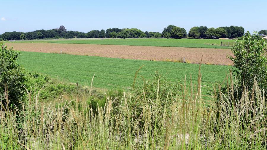 O proxecto comezou a andar a finais do ano 2022, centrado en facilitar a entrada no sector agrario de persoas alleas ao mesmo. FOTO: Santi Alvite O proxecto comezou a andar a finais do ano 2022, centrado en facilitar a entrada no sector agrario de persoas alleas ao mesmo. FOTO: Santi Alvite