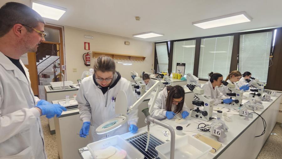 Moitas mutacións asociadas a doenzas humanas poden reproducirse no peixe cebra, circunstancia que permite observar a sintomatoloxía asociada e determinar os órganos e sistemas afectados a través de estudos microscópicos e moleculares Moitas mutacións asociadas a doenzas humanas poden reproducirse no peixe cebra, circunstancia que permite observar a sintomatoloxía asociada e determinar os órganos e sistemas afectados a través de estudos microscópicos e moleculares