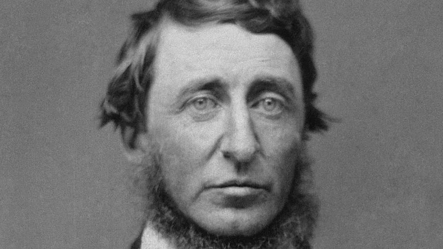Henry David Thoreau nun daguerrotipo tomado en 1856. FOTO: US National Portrait Gallery