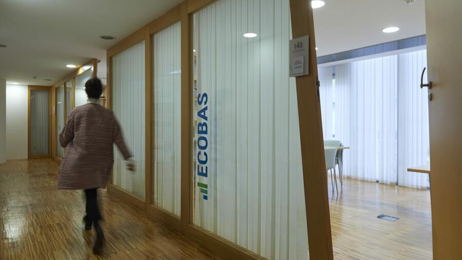 Catorce das novas incorporacións pertencen á Universidade de Santiago. Foto: ECOBAS Catorce das novas incorporacións pertencen á Universidade de Santiago. Foto: ECOBAS