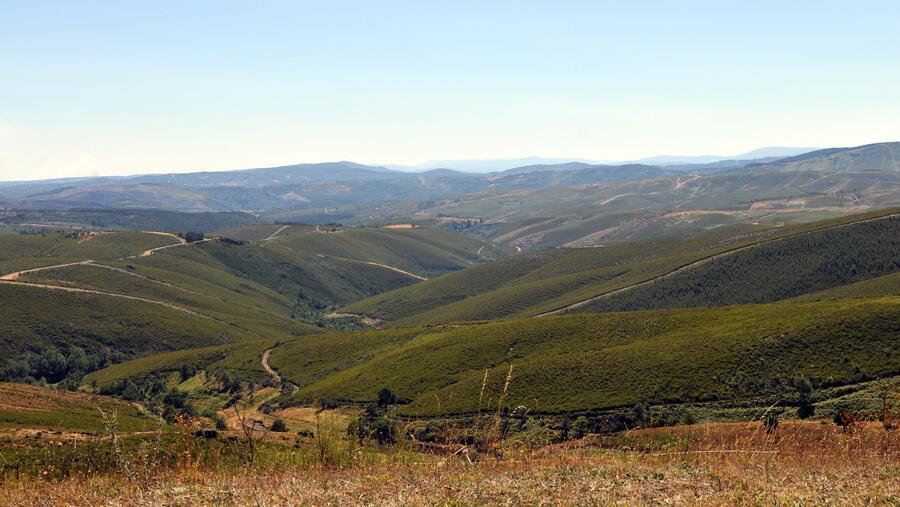 Os galardóns que teñen como obxectivo impulsar a formulación e aplicación práctica de ideas novidosas que contribúan á mellora da xestión territorial, á conservación do medio ambiente e ao desenvolvemento rural en Galicia. FOTO: Santi Alvite Os galardóns que teñen como obxectivo impulsar a formulación e aplicación práctica de ideas novidosas que contribúan á mellora da xestión territorial, á conservación do medio ambiente e ao desenvolvemento rural en Galicia. FOTO: Santi Alvite