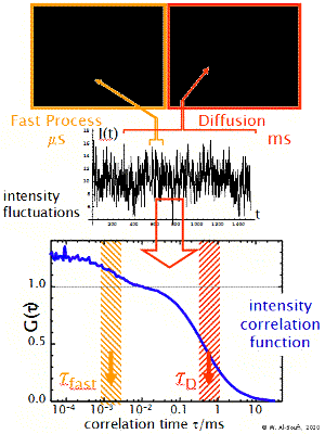 Fast dynamics introduce fluorescence blinking during the transit