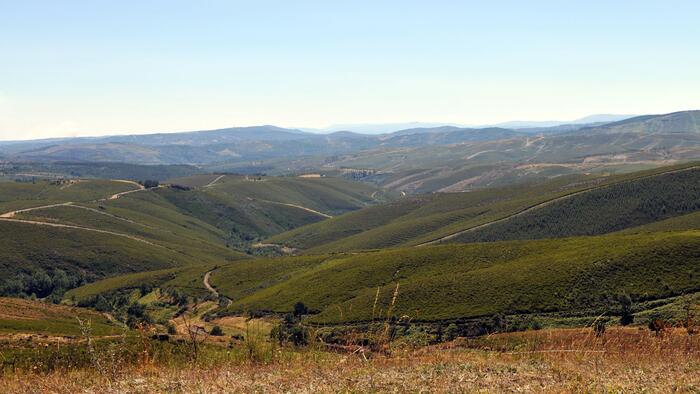 Piasaxe de montaña. FOTO: Santi Alvite Piasaxe de montaña. FOTO: Santi Alvite