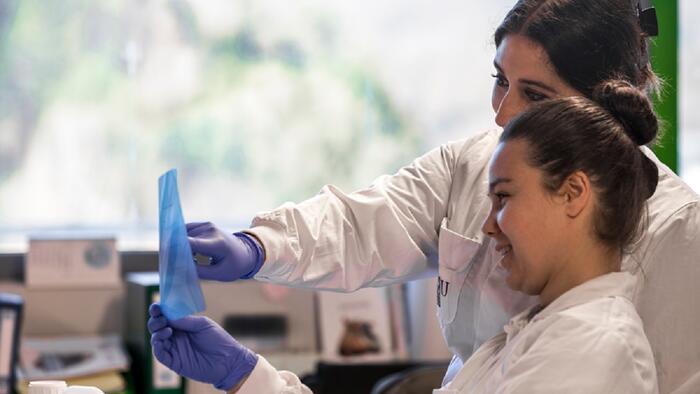 A nova biotech xa completou unha rolda de investimentos de 115.000€. Foto: Albor Biotech