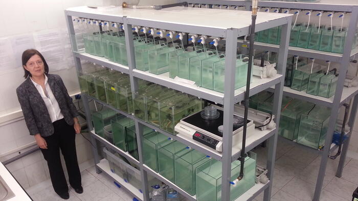 Sánchez Piñón pertence ao grupo de investigación ‘Xenética para a acuicultura e a conservación de recursos’ (ACUIGEN)