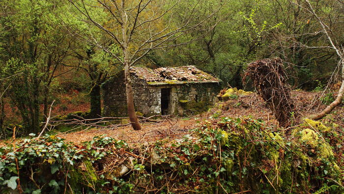 Paisaxe galega. Foto: Gabriel González Paisaxe galega. Foto: Gabriel González