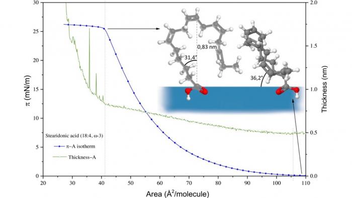 Isotermas de PUFAs