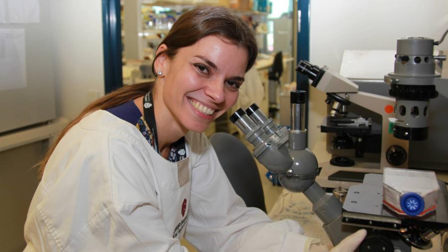 BioReDes aborda o influxo dos péptidos de gomesina na loita contra o melanoma BioReDes aborda o influxo dos péptidos de gomesina na loita contra o melanoma