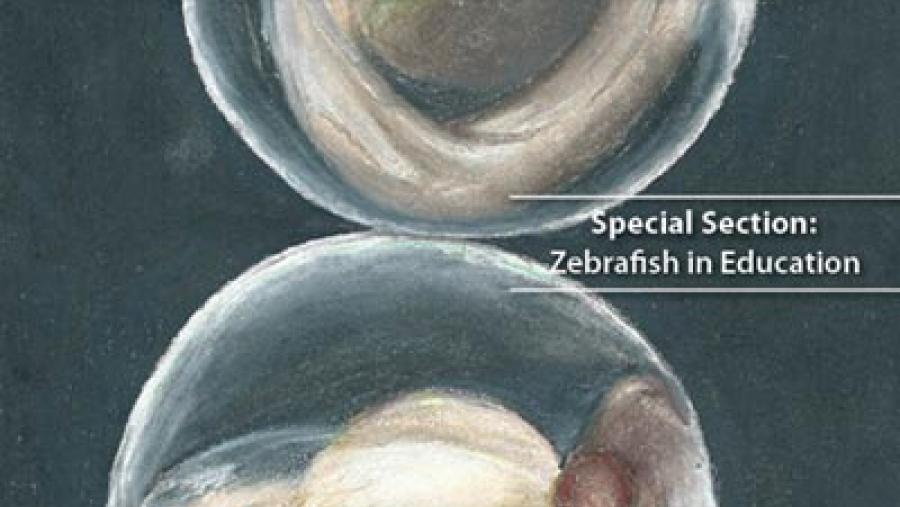 La revista americana Zefrafish publica un artículo del grupo de investigación ZebraBioRes sobre el proyecto ‘Una cebra en el agua’ La revista americana Zefrafish publica un artículo del grupo de investigación ZebraBioRes sobre el proyecto ‘Una cebra en el agua’