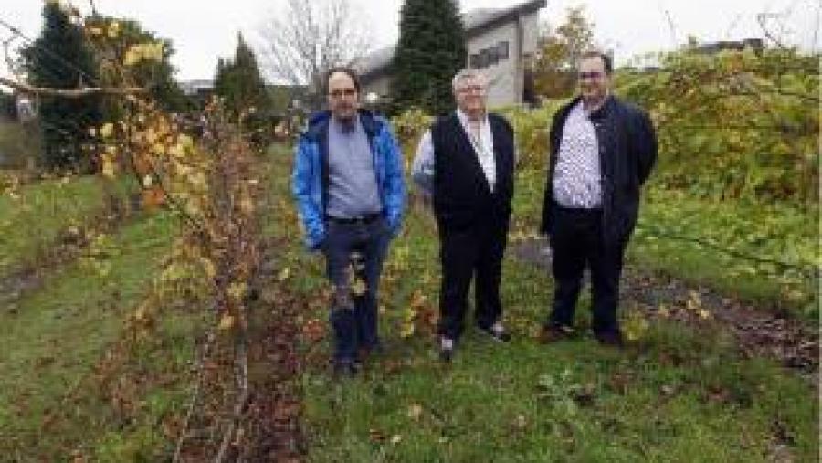 El Campus Terra de la USC participa en un proyecto de mejora del sistema vitivinícola español financiado con cerca de 7,5 millones El Campus Terra de la USC participa en un proyecto de mejora del sistema vitivinícola español financiado con cerca de 7,5 millones