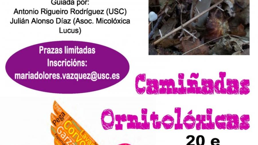 Abierta la inscripción en las caminatas ornitológicas y botánicas organizadas por el Campus Terra durante el mes de octubre Abierta la inscripción en las caminatas ornitológicas y botánicas organizadas por el Campus Terra durante el mes de octubre