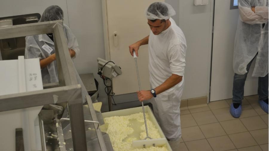 El Aplta abre la inscripción en una jornada sobre elaboración de queso láctico y enzimático que se celebrará del 29 al 31 de mayo El Aplta abre la inscripción en una jornada sobre elaboración de queso láctico y enzimático que se celebrará del 29 al 31 de mayo