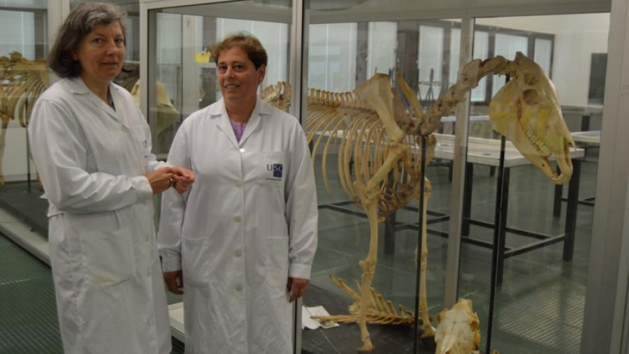 Investigadoras del Campus Terra validan el uso de la salmuera como alternativa saludable al formol para conservar material biológico Investigadoras del Campus Terra validan el uso de la salmuera como alternativa saludable al formol para conservar material biológico