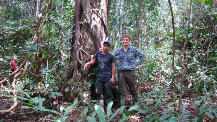 El Campus Terra de la USC desarrolla un método para cuantificar las emisiones de carbono derivadas de la degradación forestal El Campus Terra de la USC desarrolla un método para cuantificar las emisiones de carbono derivadas de la degradación forestal
