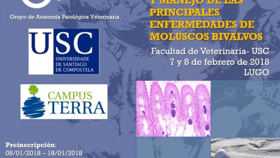 El Campus Terra aborda en un curso el diagnóstico histopatológico y el manejo de las principales enfermedades de moluscos bivalvos