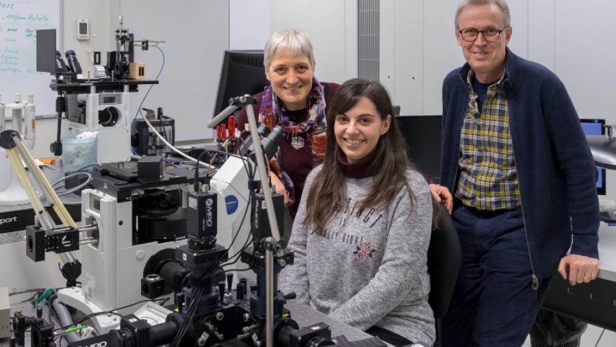 Científicos del Campus Terra identifican la concentración crítica para la formación de agregados tóxicos de la enfermedad de Alzheimer Científicos del Campus Terra identifican la concentración crítica para la formación de agregados tóxicos de la enfermedad de Alzheimer