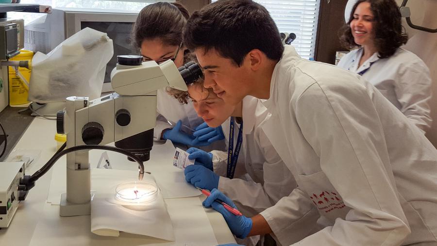 Ana Manuela de Azevedo Gomes, monitora de XuvenCiencia: “En el Campus de Verano, la convivencia y el respeto son fundamentales”. Ana Manuela de Azevedo Gomes, monitora de XuvenCiencia: “En el Campus de Verano, la convivencia y el respeto son fundamentales”.