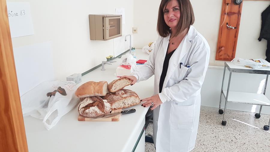 Ángeles Romero, directora de la Cátedra del Pan y del Cereal: “Los cereales no deben ser eliminados de la dieta”