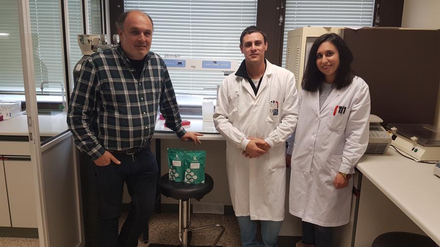 O Campus Terra avanza na detección precoz da mamite bovina O Campus Terra avanza na detección precoz da mamite bovina