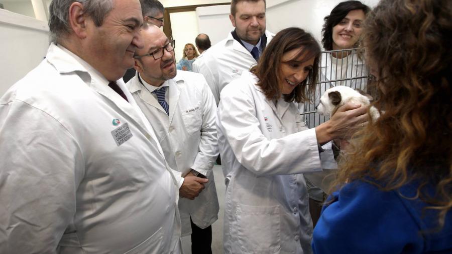 A conselleira de Educación, Universidade e Formación Profesional visitou as instalacións do Cebiovet e do Hospital Veterinario Universitario Rof Codina A conselleira de Educación, Universidade e Formación Profesional visitou as instalacións do Cebiovet e do Hospital Veterinario Universitario Rof Codina