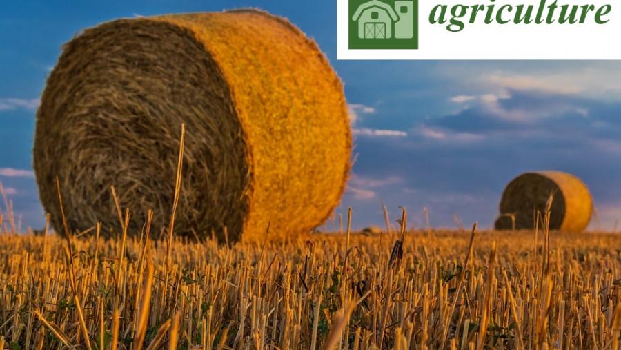 O Campus Terra impulsa unha rede internacional sobre agricultura e silvicultura O Campus Terra impulsa unha rede internacional sobre agricultura e silvicultura