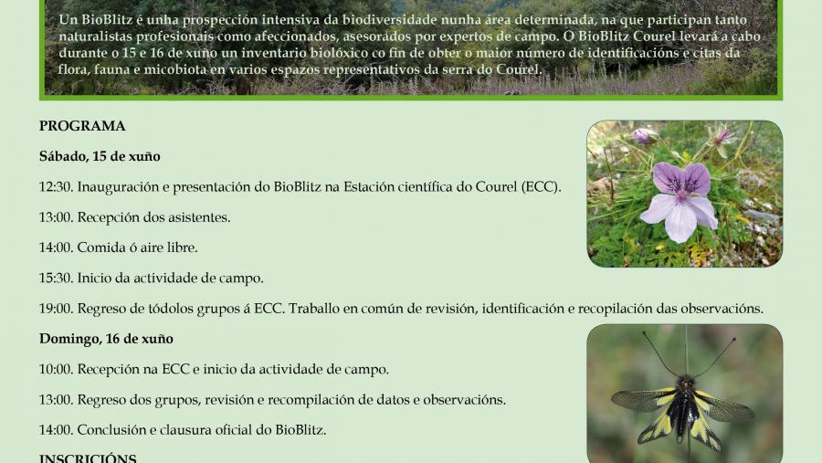 A ‘II Bioblitz Ancares-Courel’ terá lugar o 15 e 16 de xuño na Estación Científica do Courel A ‘II Bioblitz Ancares-Courel’ terá lugar o 15 e 16 de xuño na Estación Científica do Courel