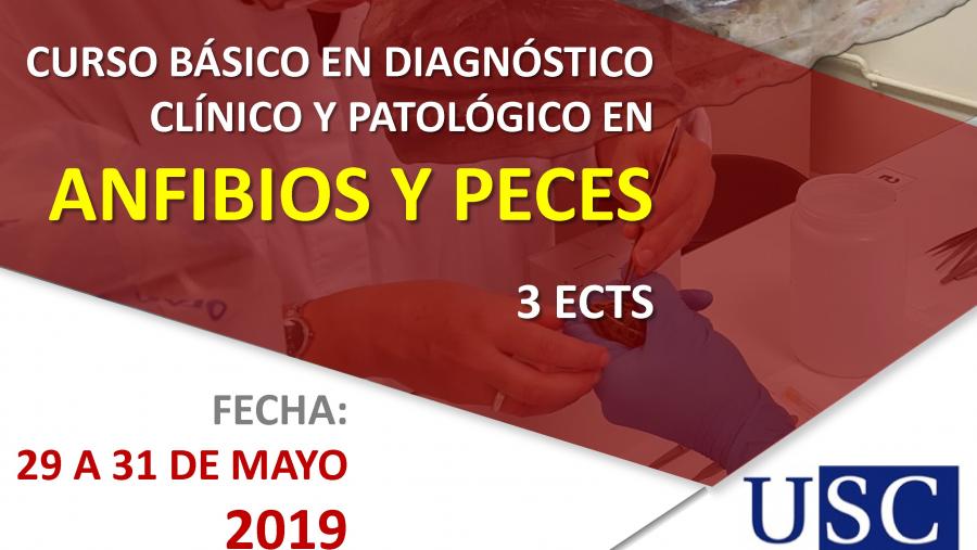 Gapavet abre o luns 15 de abril a inscrición para o ‘Curso básico en diagnóstico clínico e patolóxico en anfibios e peixes’ Gapavet abre o luns 15 de abril a inscrición para o ‘Curso básico en diagnóstico clínico e patolóxico en anfibios e peixes’